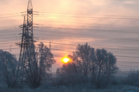 Power poles in the winterの写真素材