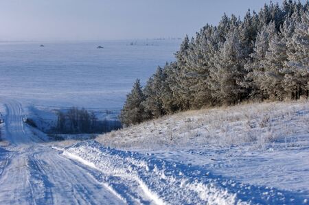 Trees covered with frost, bright sunny day, the roadの写真素材