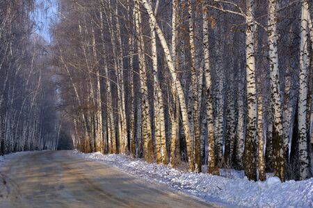 Alley in winter, deep snow, high spiritsの写真素材