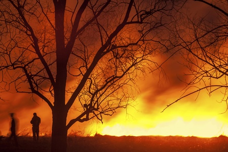 Forest Fire Burning at Nightの写真素材