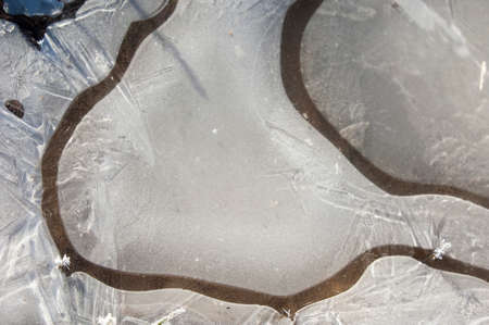 Hoarfrost on autumn grass. hoar frost green grass under autumn sun. colored autumn leaves covered with hoarfrost.の写真素材