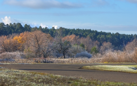 The first autumn frost on the road. road in Autumn. A colourful curving autumn road. の写真素材