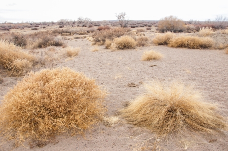 steppeの写真素材