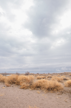 steppeの写真素材