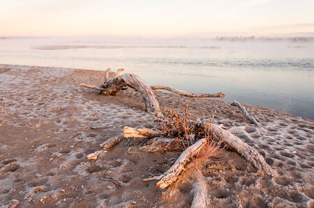 Snag on the shore. Beautiful nature composition. Dry tree on the foreground.の写真素材