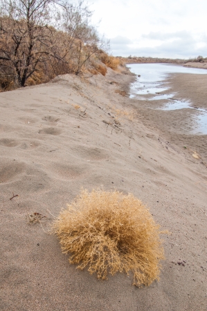 steppeの写真素材