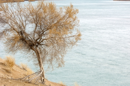 kazakhstan,  Autumn has come in the steppe. first frosts in the steppe. Desert landscape with hills and dry yellow grass の写真素材