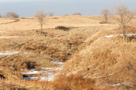  Early spring landscape with rocks and woodsの写真素材