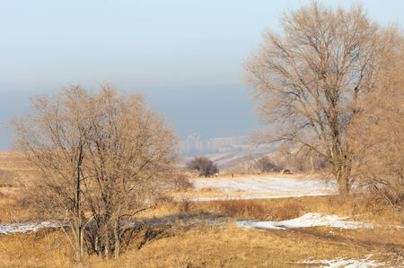  Early spring landscape with rocks and woodsの写真素材