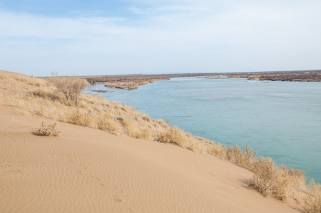 sand spring steppeの写真素材