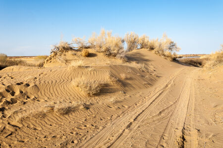 river in spring steppe. riverbank overgrown with reeds. water is pure emeraldの写真素材