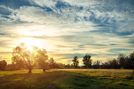 Sunset in autumn. Sunset in autumn forest. Beautiful sunrise on the field.の写真素材