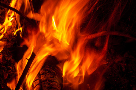 fire burning fire. Fire burning in the night. crest of flame on burning wood.blaze fire flame...