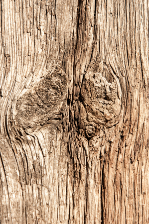 Texture of old wood structure.の写真素材