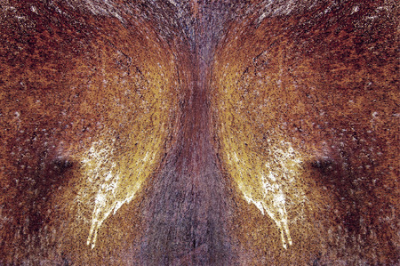 texture of rusty iron. aged rusty iron texture like a good grunge background.  Old rusty metal plate for background. Rusty metal surface, may be used as background.の写真素材