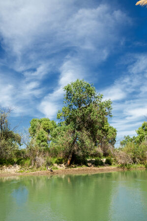steppe, prairie, veld, veldt.  Crimea, the southern Russian steppes, the Kazakh steppes , and western Siberia. の写真素材