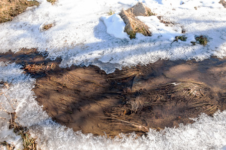 Last spring snowの写真素材