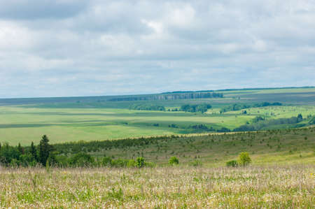 Summer landscape with green grass, road and clouds