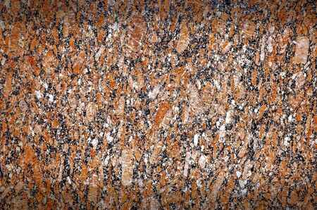 texture of stone  photographed in the wildの写真素材