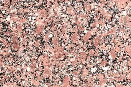 texture of stone  photographed in the wildの写真素材