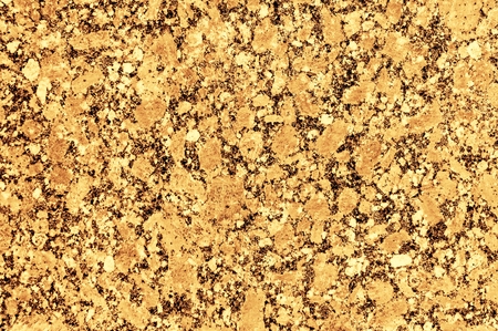 texture of stone  photographed in the wildの写真素材