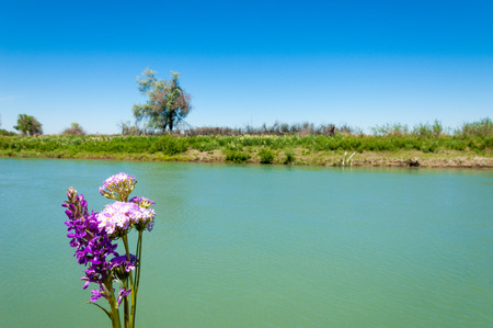 river, stream, flood, effluent, ford, nulla. a large natural stream of water flowing in a channel to the sea, a lake, or another such stream. の写真素材