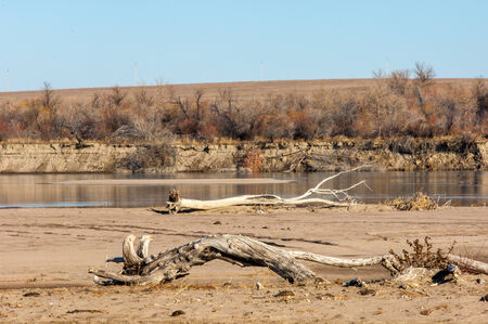 River ice. river in winter. winter creek. の写真素材