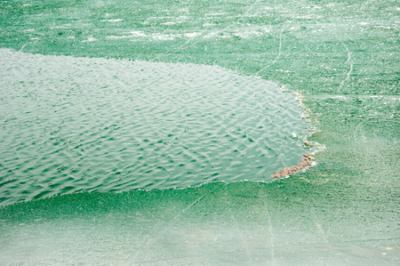 spring, the last ice on the river needle. の写真素材
