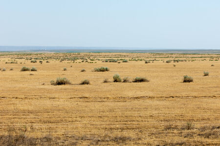 near desert. desert. steppe. Summer in the steppe. の写真素材