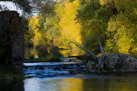 A wonderful time to fall, golden leaves, warm daysの写真素材