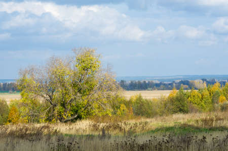 A wonderful time to fall, golden leaves, warm daysの写真素材