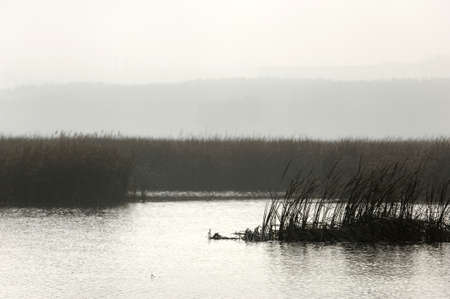 river  Ili Kazakhstanの写真素材