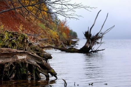 river  Ili Kazakhstanの写真素材