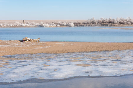 Icy river in the winter.の写真素材