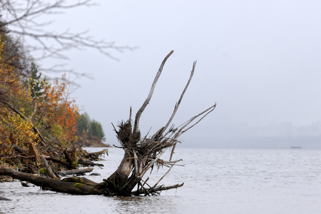 river  Ili Kazakhstanの写真素材