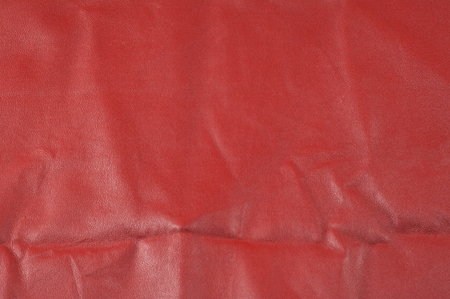 texture of the skin. The photo was taken in a studioの写真素材