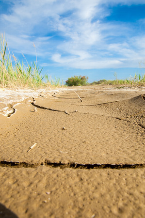 Texture of cracks in the ground. Earth cracked in the bright sunの写真素材