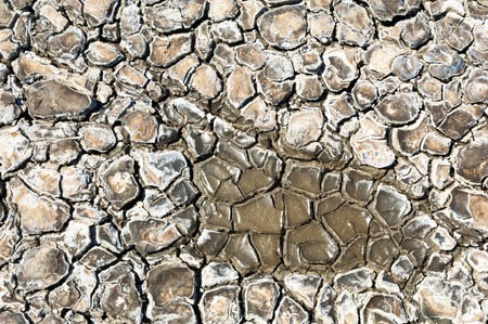 desert, wilderness, waste, sands, wilds, sahara. texture of dry land. Dry cracked earth background. land with dry cracked ground. Land with dry and cracked ground.の写真素材