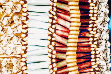 Fabric texture.   tissue, textile, cloth,  material, woven. Photos shot in studio. cloth, typically...