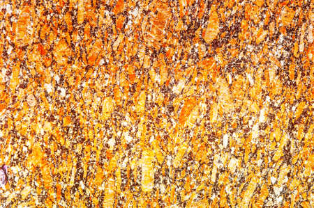 texture of stone. photographed in the wildの写真素材