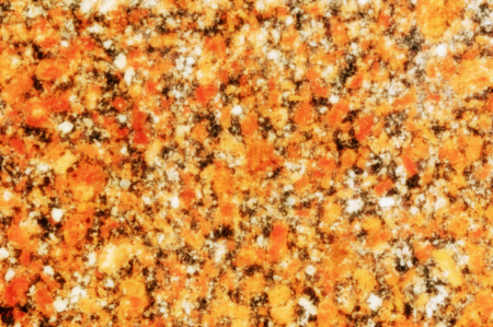 texture of stone. photographed in the wildの写真素材