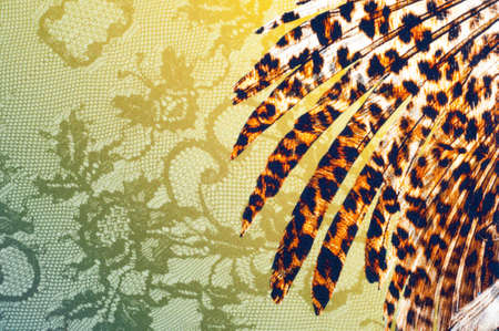 texture lace. a fine open fabric, typically one of cotton or silk, made by looping, twisting, or...