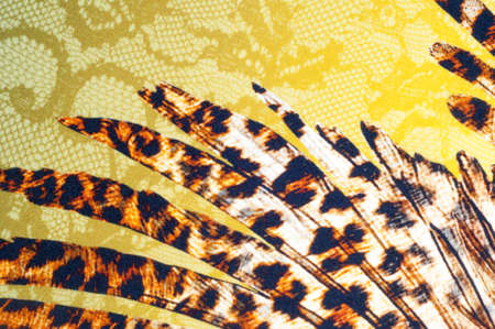 texture lace. a fine open fabric, typically one of cotton or silk, made by looping, twisting, or...