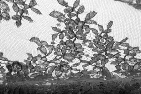 texture lace. a fine open fabric, typically one of cotton or silk, made by looping, twisting, or...