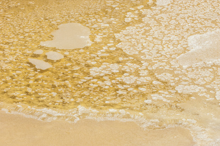 The texture of the salt marshes. Photographed in natureの写真素材