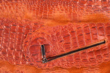 crocodile Skin. Artistic leather crocodileの写真素材
