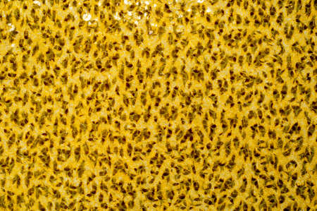 Fabric with a pattern of India photo studioの写真素材