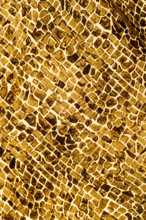 Fabric with a pattern of stone. tissue, textile, cloth, fabric, material, texture. photo studioの写真素材