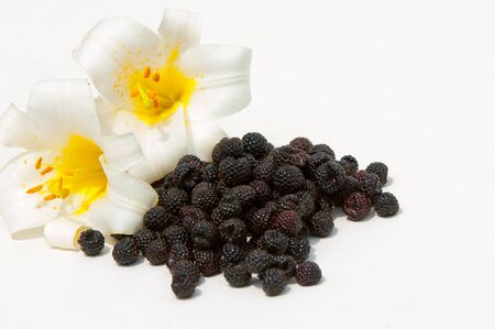 black raspberries. an edible soft fruit, consisting of a cluster of black drupe lets.の写真素材
