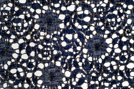 fabric lace. a fine open fabric, typically one of cotton or silk, made by looping, twisting, or...
